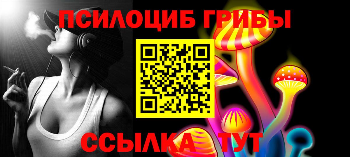 наркота  Псилоцибиновые грибы GOLDEN TEACHER  Вход с VPN  Медногорск 